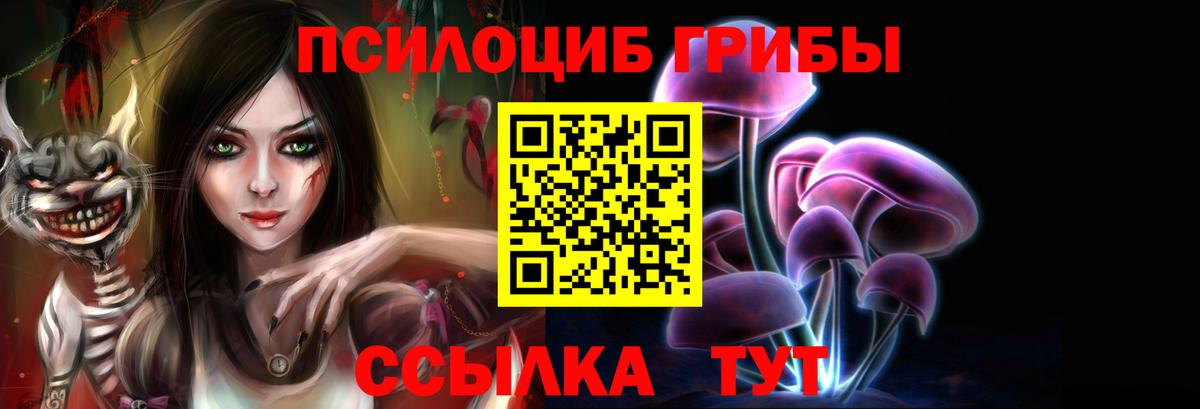 Галлюциногенные грибы прущие грибы  Вход с VPN  Гуково 